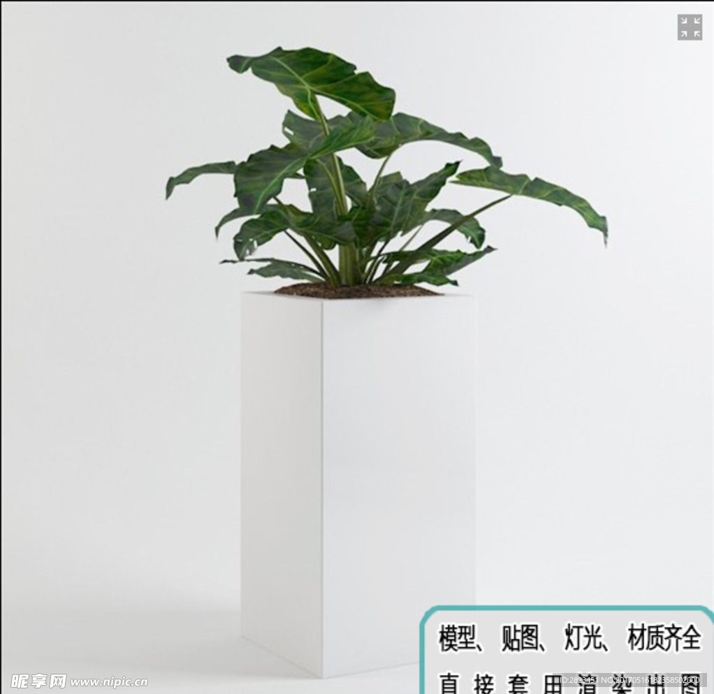 植物墙 盆栽 绿化