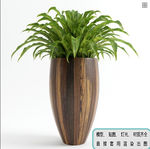 植物墙 盆栽