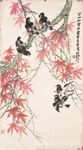 红叶八哥