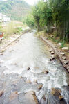 小溪竹林