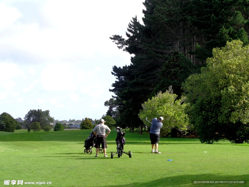 新西兰高尔夫球场风景
