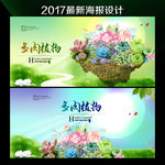 多肉植物