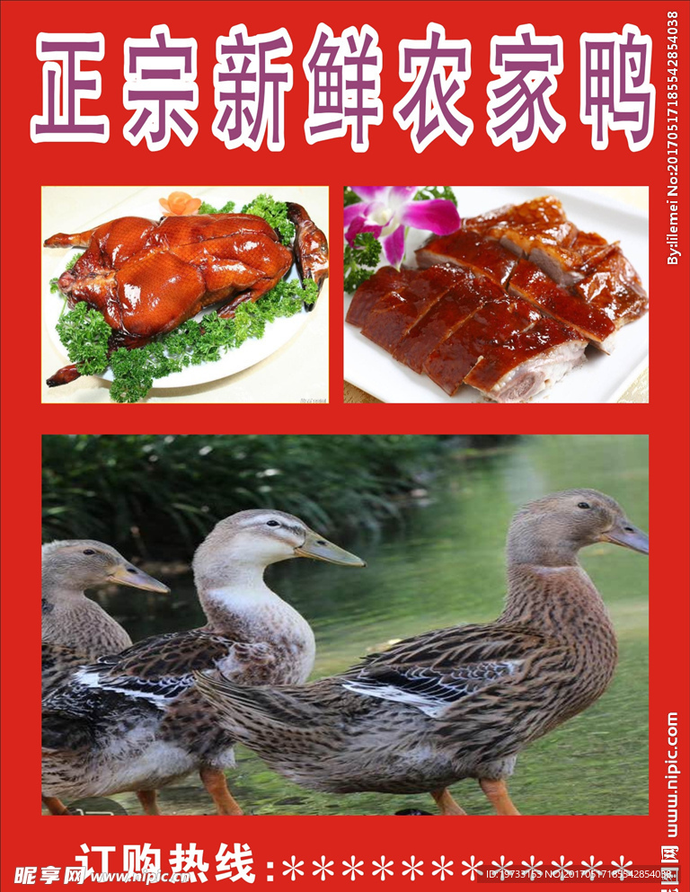 鸭肉海报