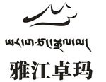 雅江卓玛