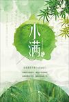 清新中国风节气小满海报模板