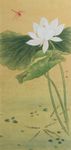 红蜻蜓