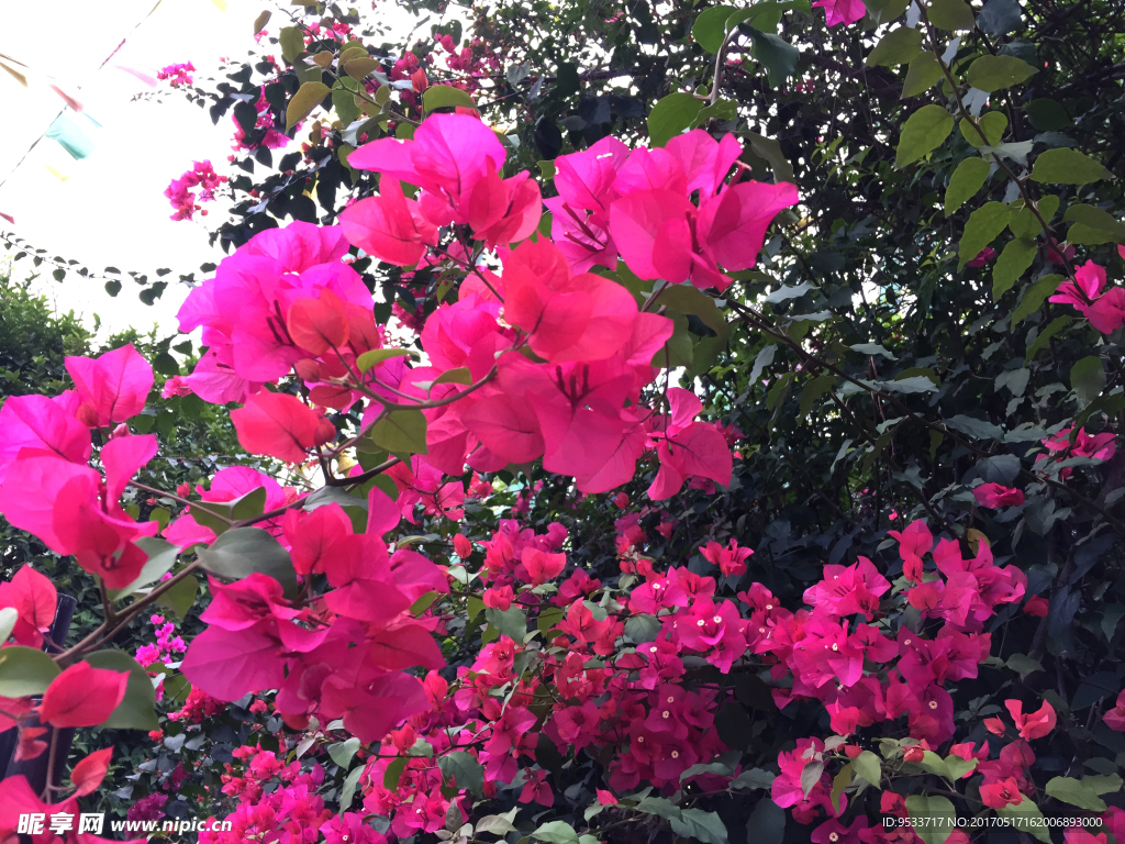 花