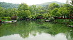 风景画背景墙