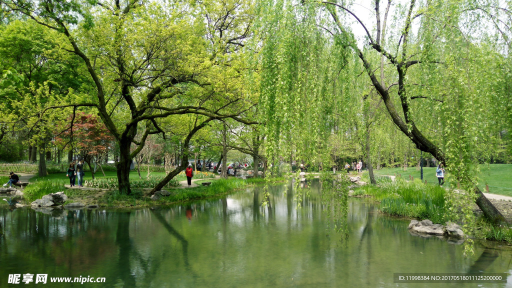 西湖风景背景墙