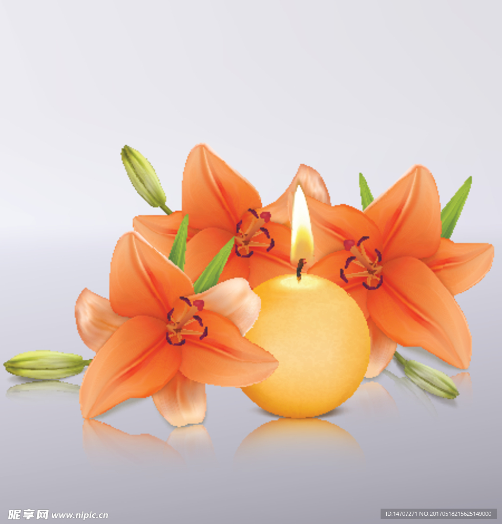 蜡烛百合花
