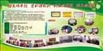 学校展板