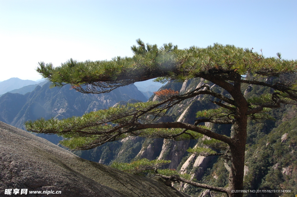 黄山