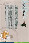 中医养生