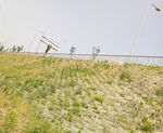 高速公路防护带