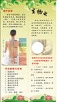 生物电疗