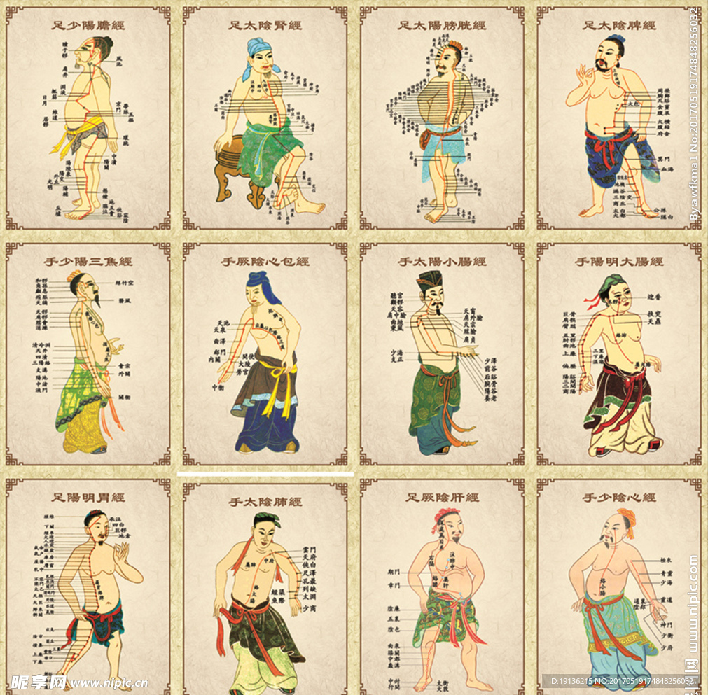 十二经络图