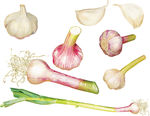 蔬菜