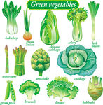 蔬菜 手绘蔬菜 包菜 菠菜
