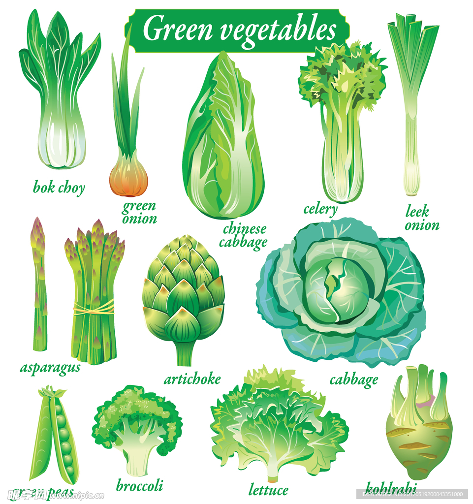 蔬菜 手绘蔬菜 包菜 菠菜