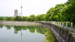 湖畔一景