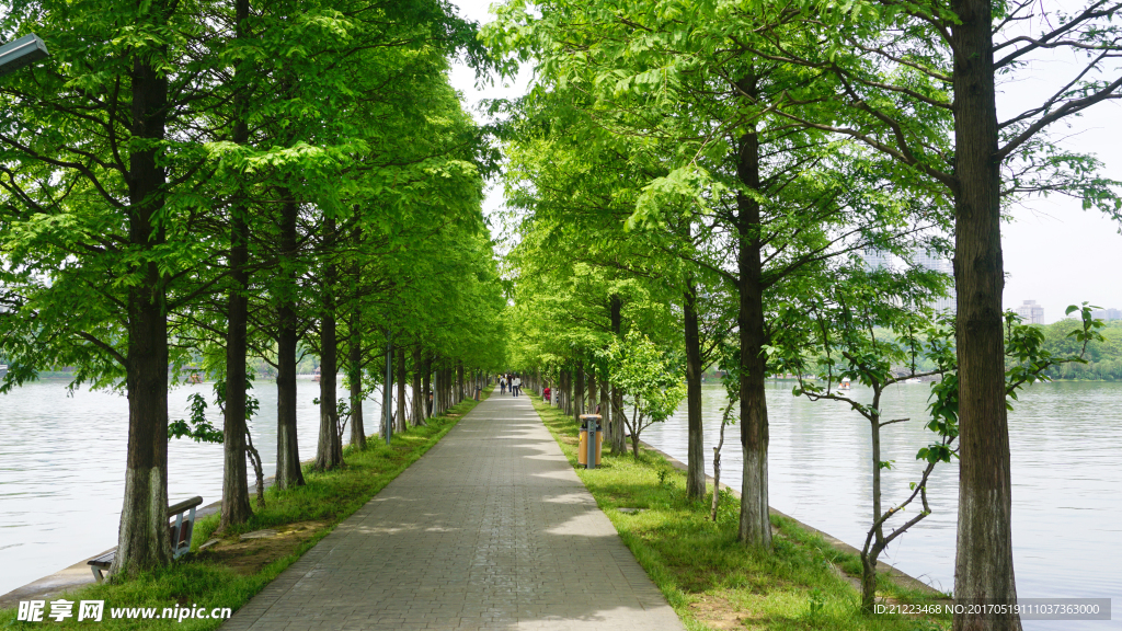 健康步道