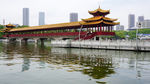 迎丰桥近景