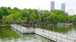迎丰桥一景