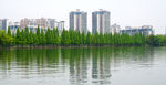 湖畔一景
