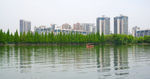 湖畔美景