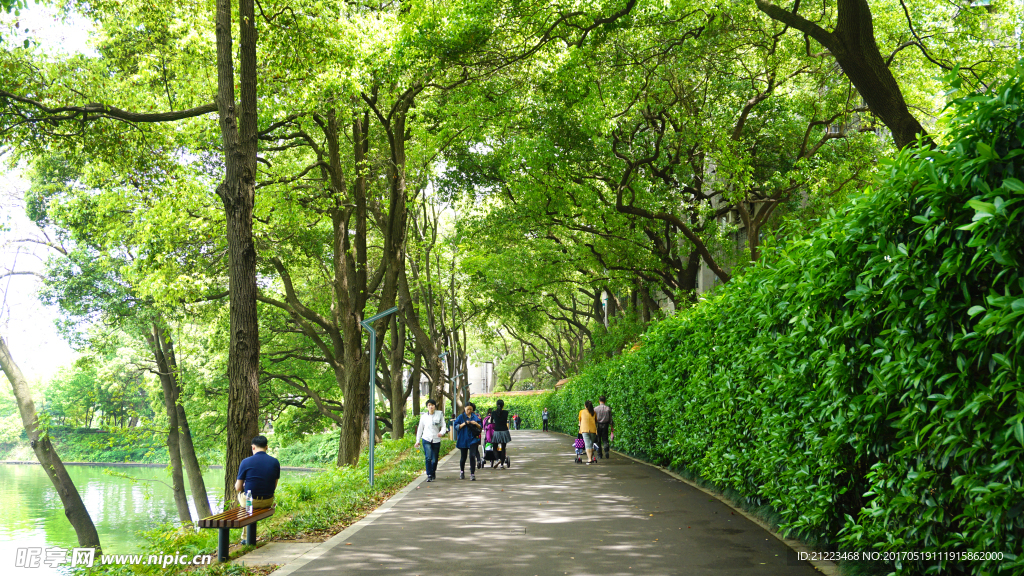 健康步道