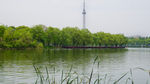 烈士公园一景
