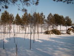 雪