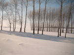 雪
