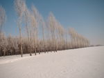 雪
