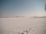 雪