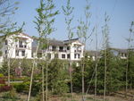 云门山景区路上