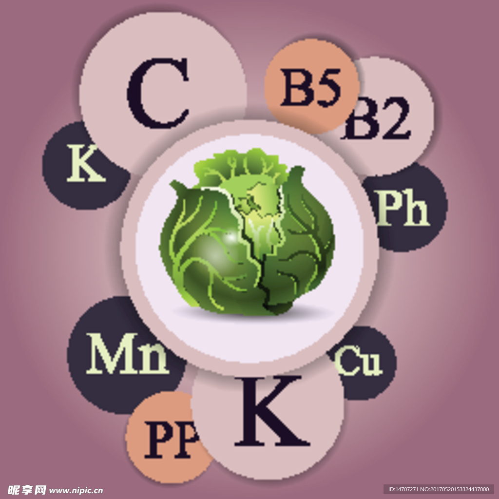 蔬菜维生元素信息图表