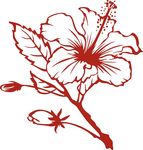 花卉