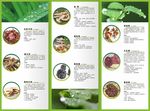 野生菌折页