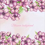 手绘水彩春季花卉