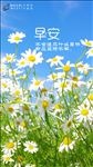 早安海报