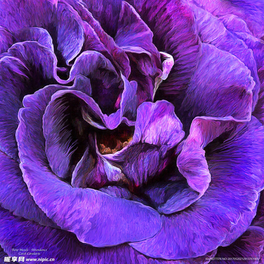 手绘花卉