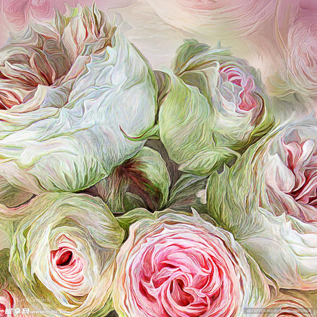 手绘花卉