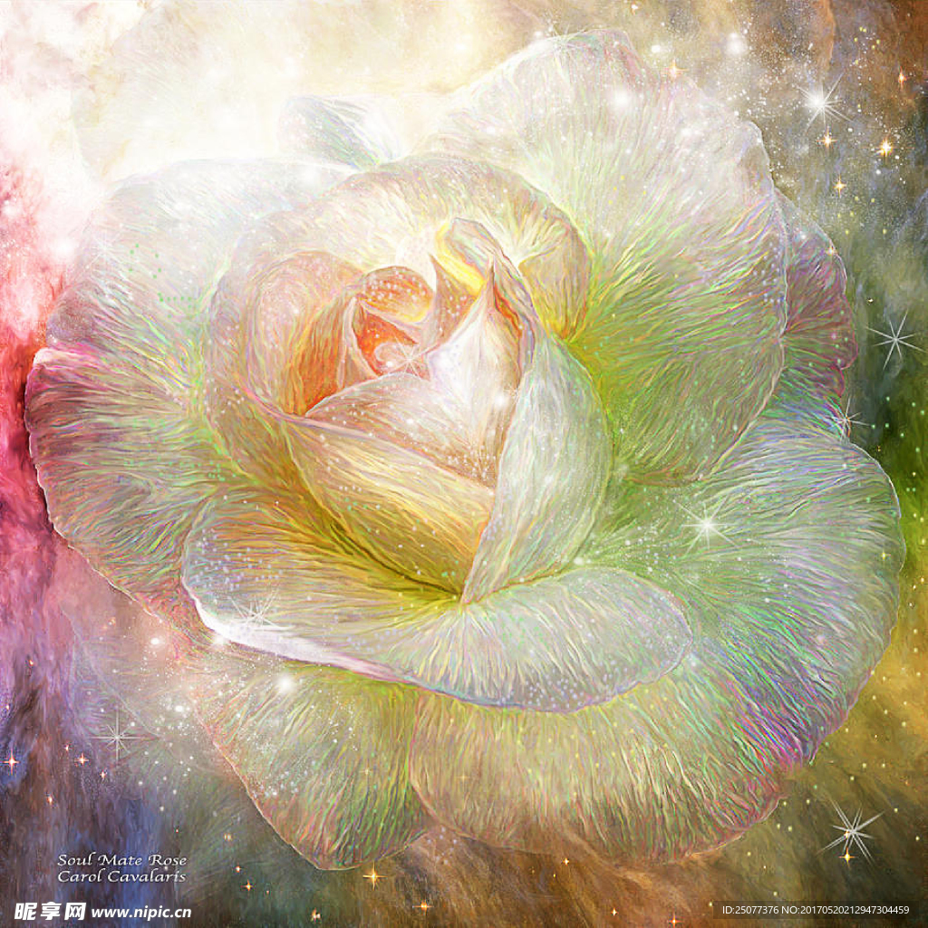 手绘花卉