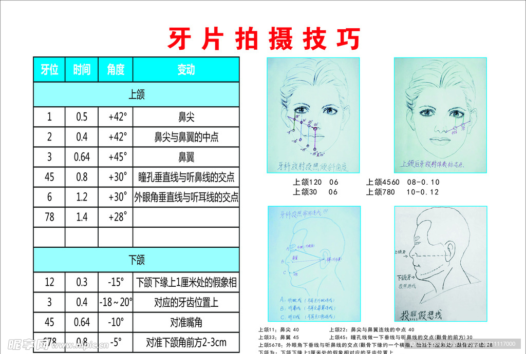 牙片拍摄技巧