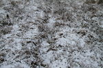 极边瑞雪皑皑