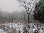 瑞雪迷雾笼罩极边山林