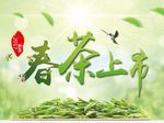 春茶上市