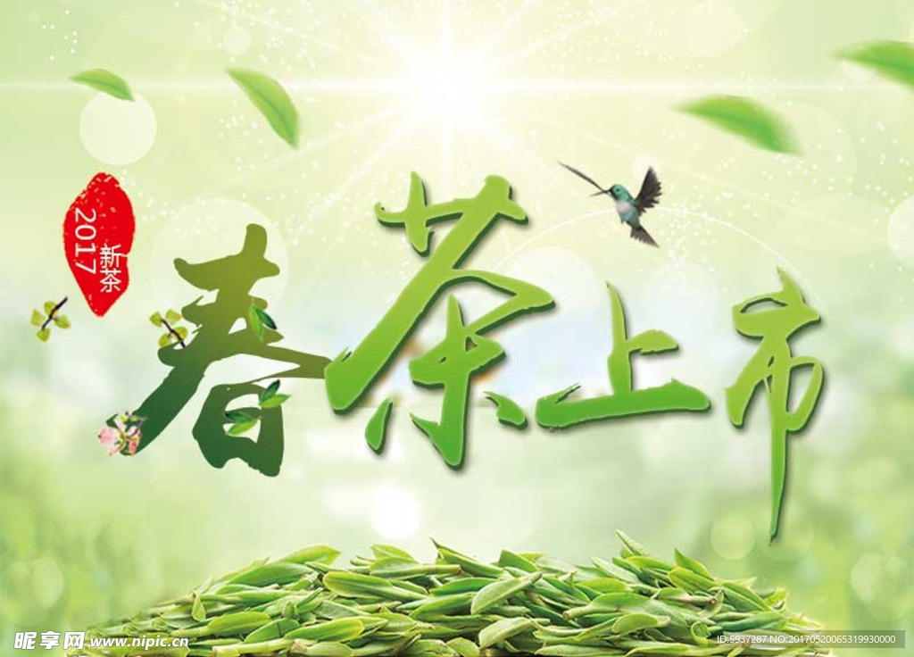 春茶上市