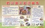 防灾减灾知识宣传
